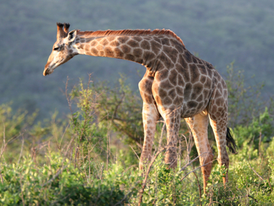 Route Johannesburg - Kaapstad, 17 dagen - Dag 3