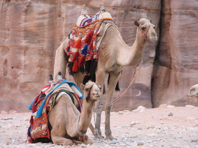 OUD Route Israël en Jordanië, 14 dagen - Day 9