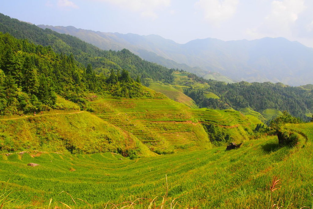 main_China_-_Longji_-_Pingan__20_.jfif