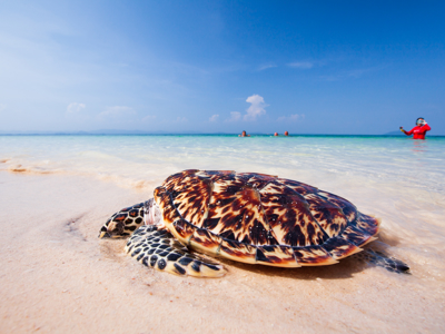 Thailand 22-35, 19 dagen - Day 14