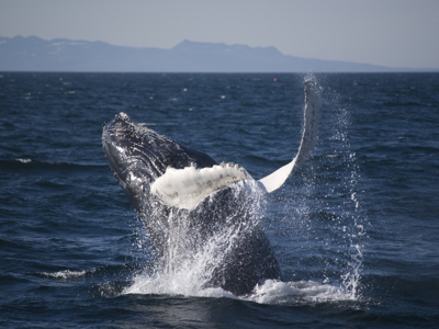 Route IJsland kampeerreis - Day 7