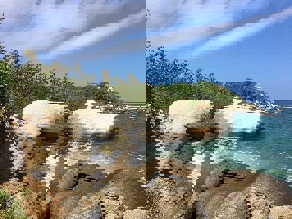 main_Colombia_-_Tayrona_Nationaal_Park__5_.jfif