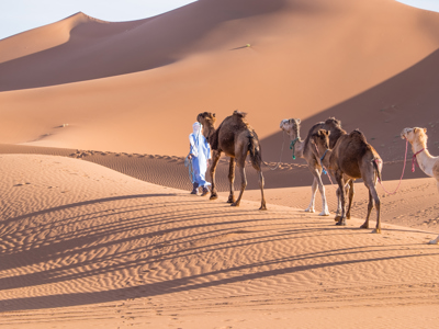 Route Marokko, 14 dagen - Dag 7