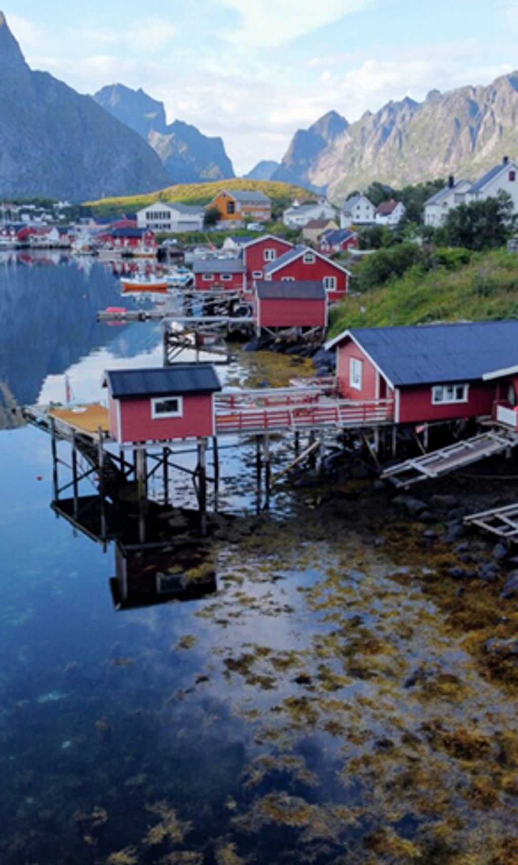 Schermafbeelding 2025-12-01 143206.png