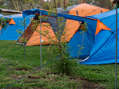 Oloiden Flamingo Campsite Naivasha Kenia