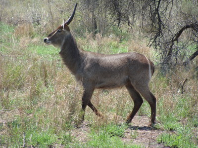 Route Zuid-Afrika, 20 dagen - Dag 5