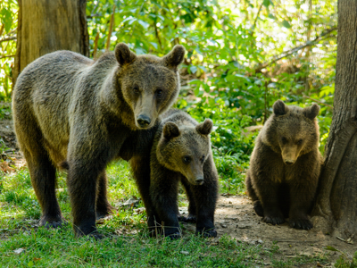 Route Roemenië - Dag 10