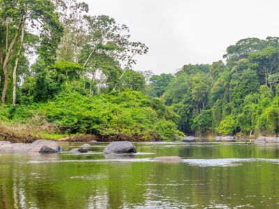 Route Suriname, 26 dagen - Dag 5