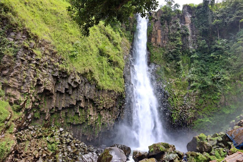 Bali Sulawesi Indonesië familiereis