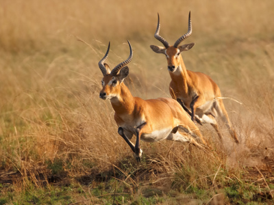 Route Windhoek - Vic Falls - Day 18