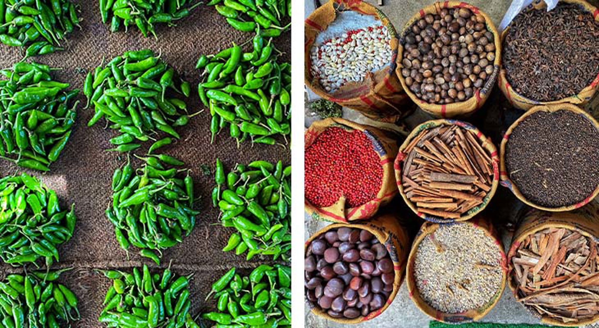 Kleuren in Zuid-India