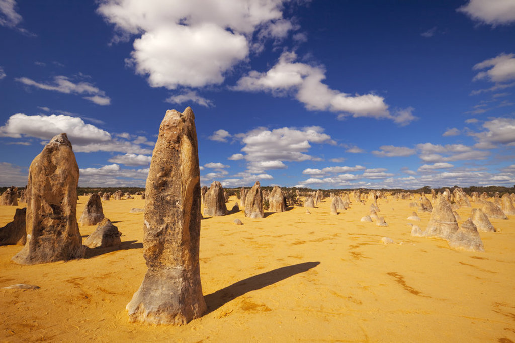 main_Nambung_National_Park_to_explore_The_Pinnacles..jpg