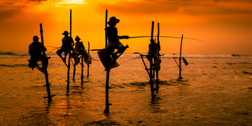 Groepsrondreis Sri Lanka Hoogtepunten