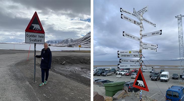 IJsbeer bord IJsbeer bord