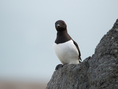Route vier Arctische eilanden - Dag 9