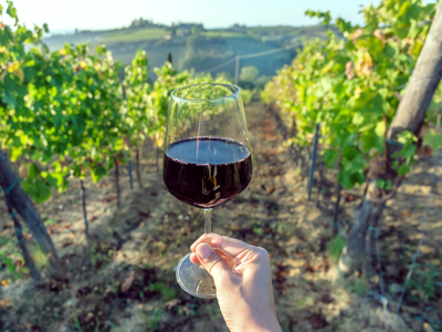 Route Zuid Afrika - Dag 4