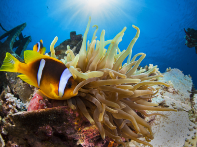 Route 22-35 Jordanië, 11 dagen - Day 9