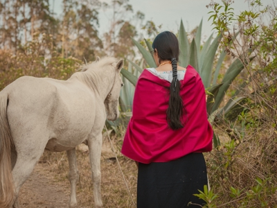 Route Ecuador, 21 dagen - Day 4