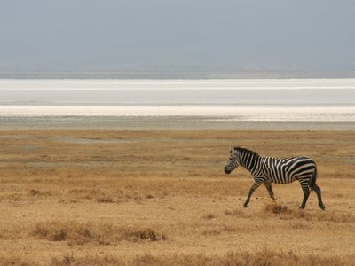 OUD Route Kenia en Tanzania, 23 dagen - Day 14