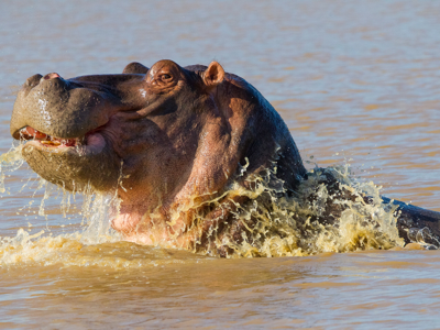 Route Zuid-Afrika, 16 dagen - Dag 4
