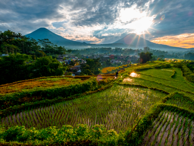 22-35 Indonesië: Java en Bali - Day 5