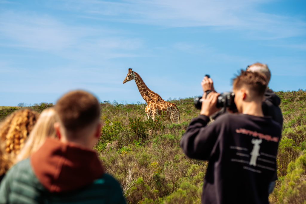 ZGF - Zuid-Afrika safari 2.jpg