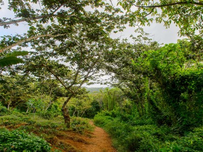 Rondreis hoogtepunten 17 dagen - Day 9