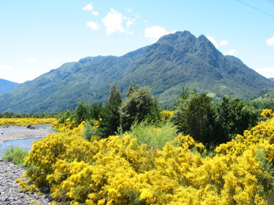 Festivalreis, 34 dagen - Dag 4