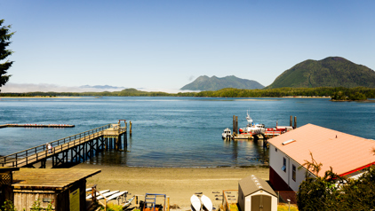 Tofino
