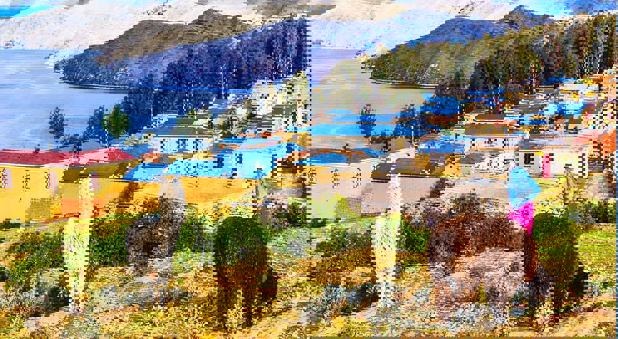 Alpaca's Titicacameer