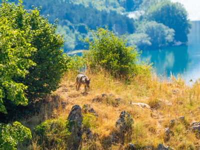 Route 14 daagse wandelvakantie De Centrale Apennijnen - Day 12