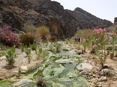 Route Jordanië, 9 dagen - Day 3
