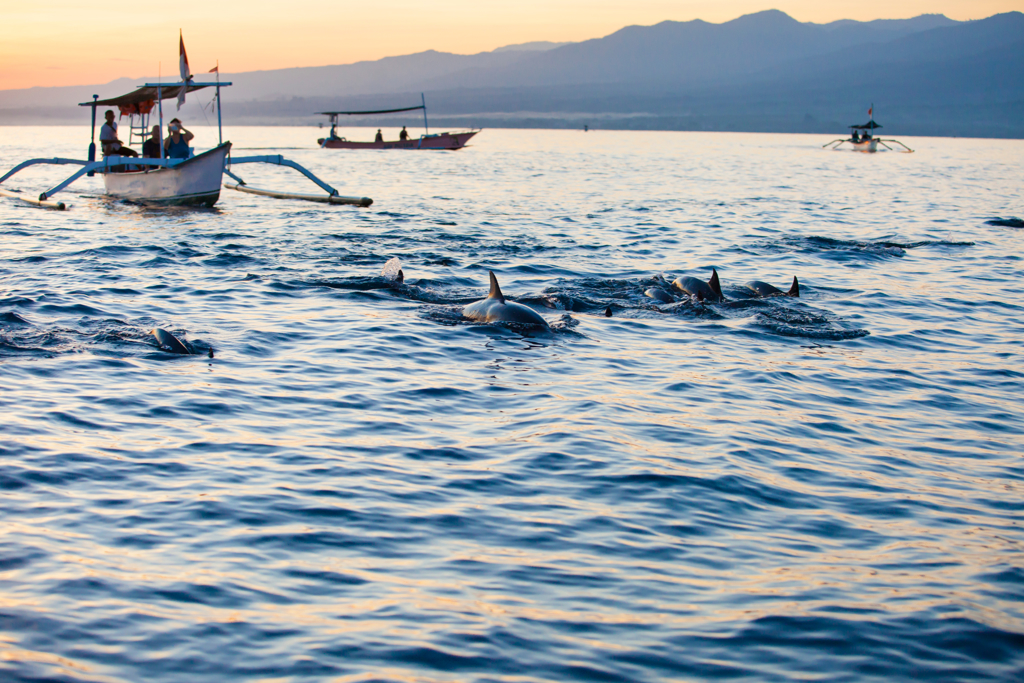Bali Sulawesi Indonesië familiereis