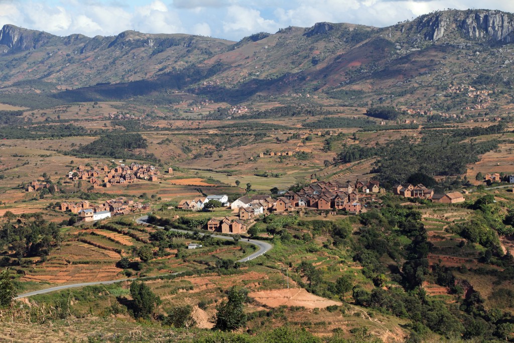 Rijstvelden - Madagascar