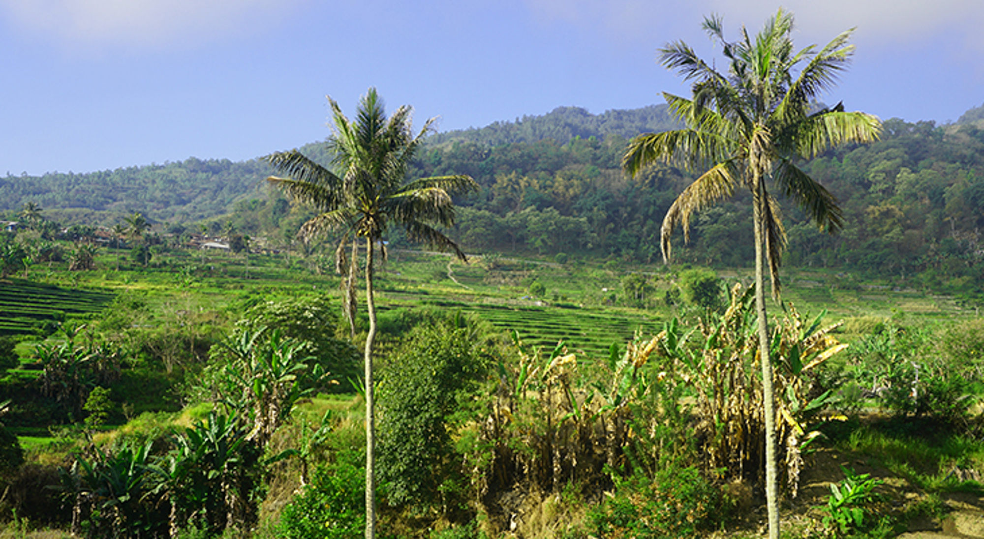 uitzicht groene heuvels - flores eiland uitzicht groene heuvels - flores eiland