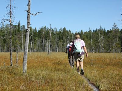 Route Lapland, 7 dagen - Day 2