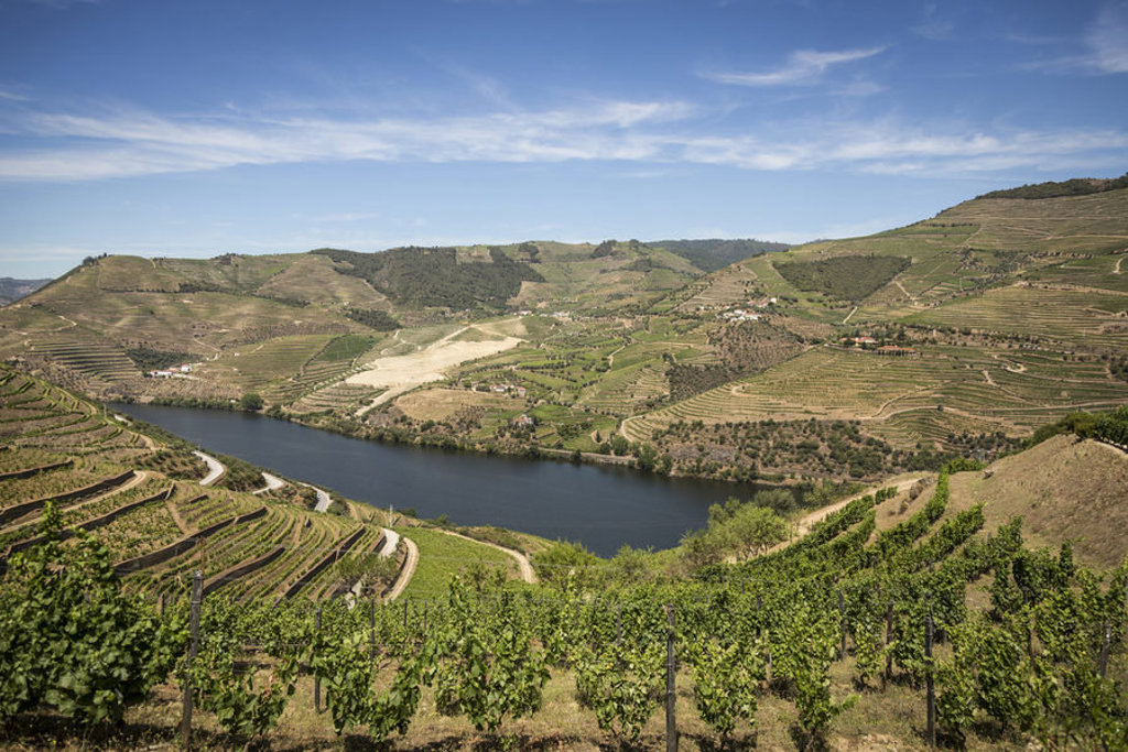 main_TSY_Mesao_Frio_Douro_Valley_shutterstock_676365034.jpg