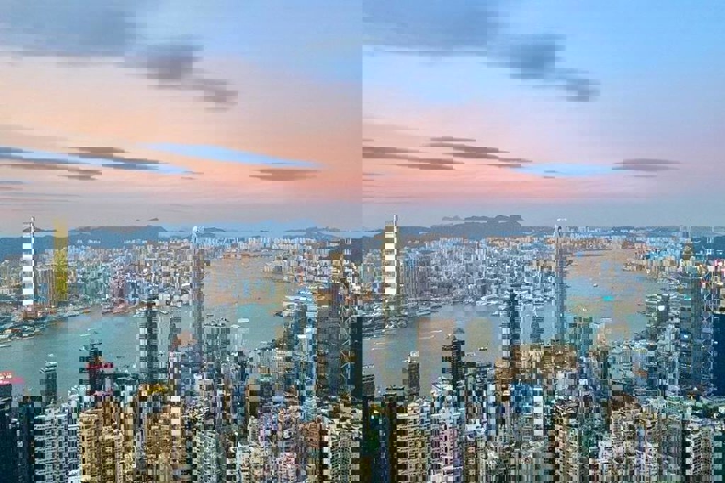 main_ef02e111-8118-4705-aef8-b0ba0ff4a3f7 (1).jpg