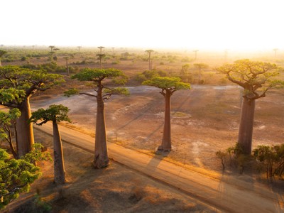 Route Madagascar, 25 dagen - Dag 1