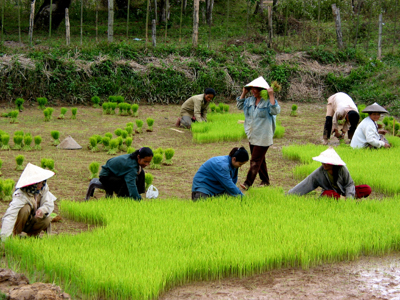 Laos & Cambodja - Dag 3