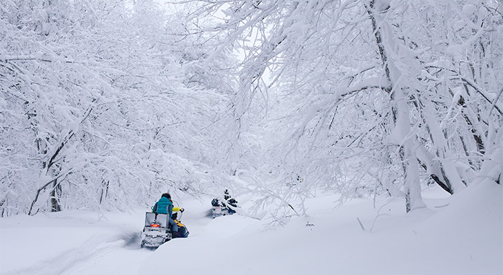 Sneeuwscooteren in Lapland