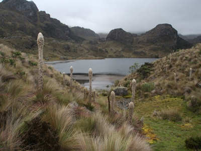 Route Ecuador, 22 dagen - Day 15