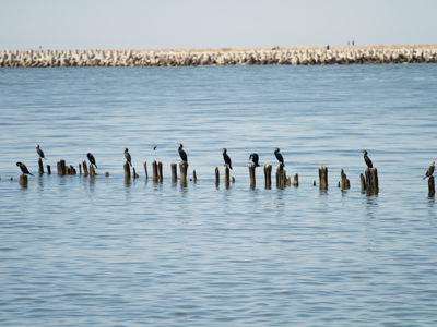 Route rondreis Antarctica 15 dagen - Dag 4