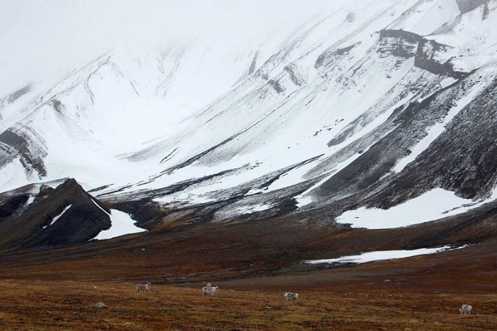 Bergen en vergezichten Spitsbergen
