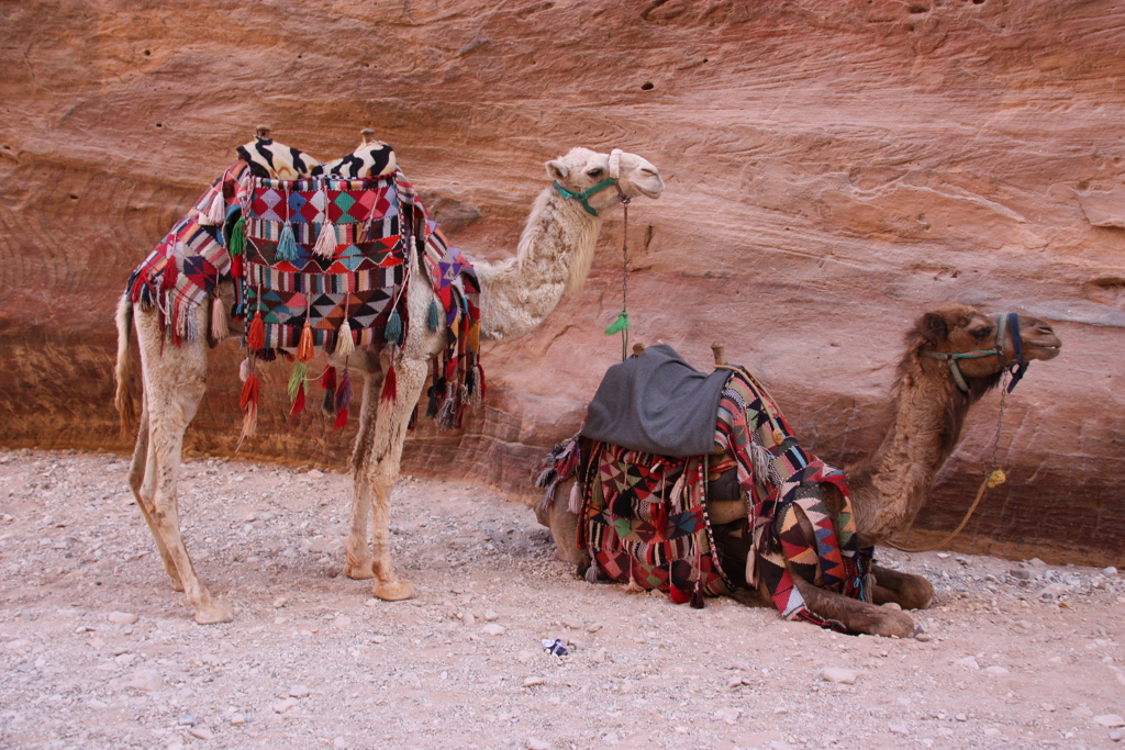 Rondreis Israël & Jordanië