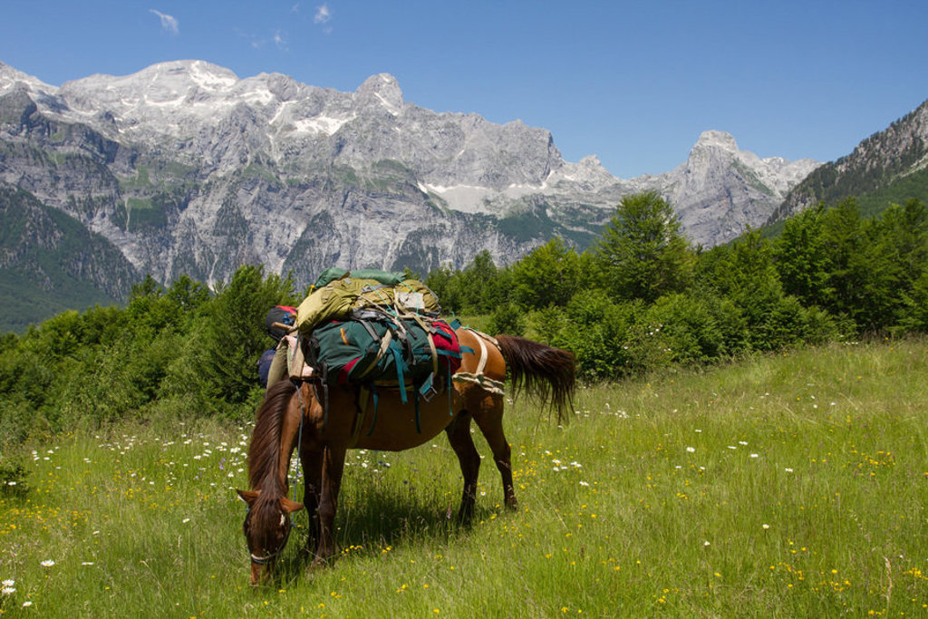 main_Day_6_Valbona_Pass_trail.jpg
