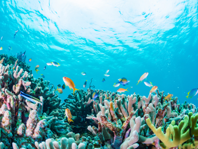 Australië reis route 1, 29 dagen - Day 26