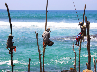 Route Sri Lanka, vertrek 22 december 2018 - Dag 12