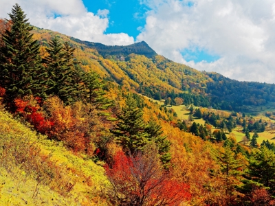 Japan Familie 2025 - Day 7