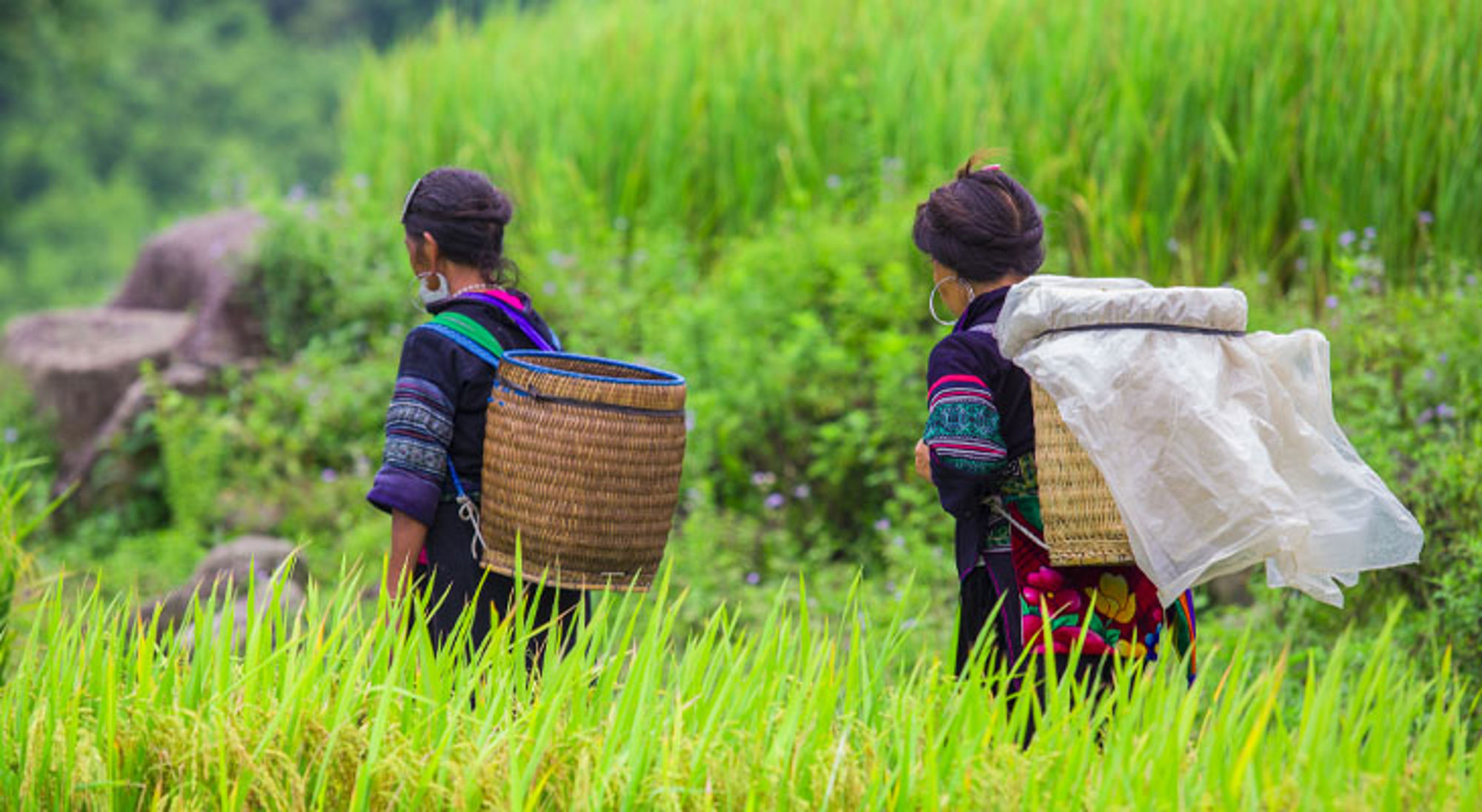 Lokale bevolking Sapa